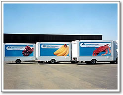 トラック広告　施工例